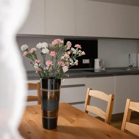 Apartman Fabrykanta By Good Time Łódź